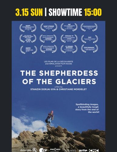 ラダック 氷河の羊飼い