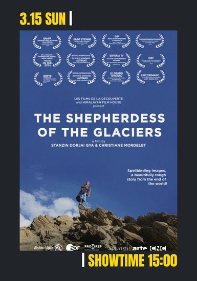 ラダック　氷河の羊飼い